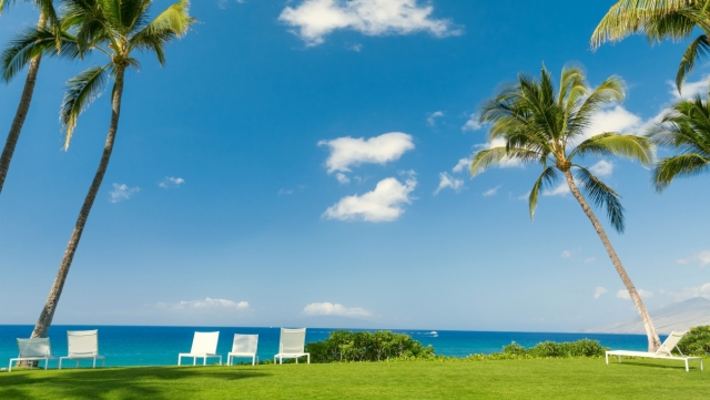 一季度涨幅近50%！顶流蔡嵩松居主动权益第一，游戏等板块大爆发，牛市来了？